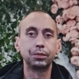 ������, ������ ��������, 43 ����