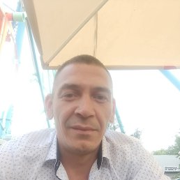 �������, �����, 37 ���