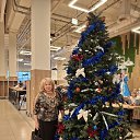 ���� �����, ������, 63 ���� - ��������� 6 ������ 2026 � ������ ���� ����������