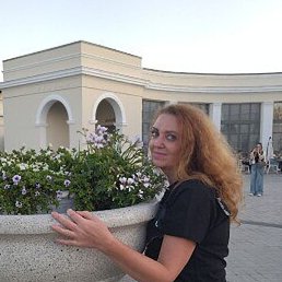 ������, ����, 53 ����