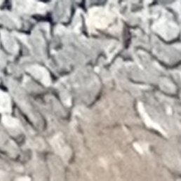 �����, ���������, 63 ����