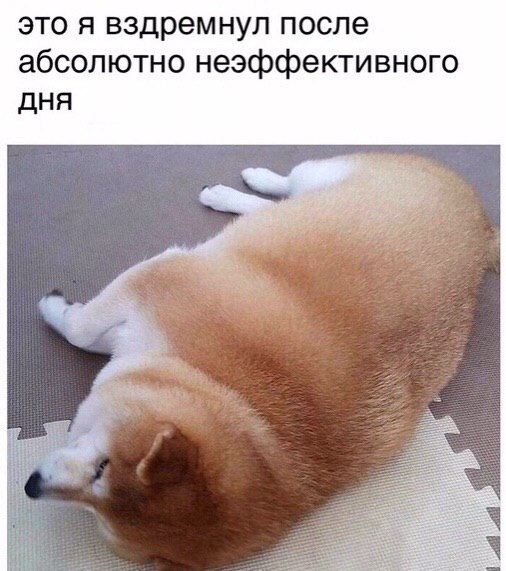    - 30  2023  20:36