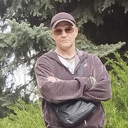, 51, 