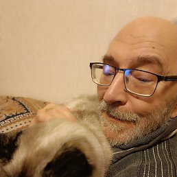 ������, ������, 67 ���