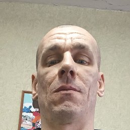 �������, ������ �����, 49 ���