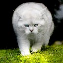 ���� �������, ����, 49 ��� - ��������� 26 ������� 2024 � ������ ���� ����������