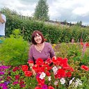 ���� ����, �������� - ��������� 15 ���� 2024 � ������ ������ ��������