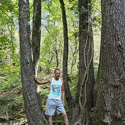 ������� ���������, ������, 43 ����