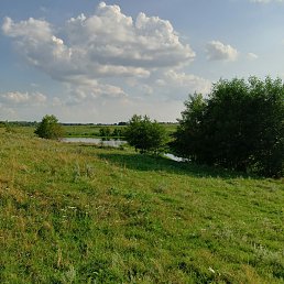 ���� ����, ������, 43 ���� - ��������� 7 ������� 2023