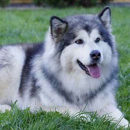 Sergey, ��������