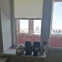 ���� Tanya, ������, 47 ��� - ��������� 4 ������� 2026 � ������ ���� ����������