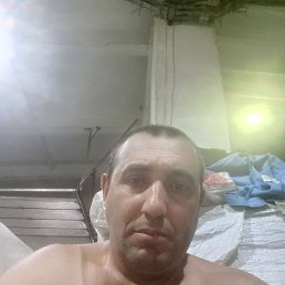 , 31, 