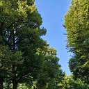 ���� �����, ������, 64 ���� - ��������� 12 ������� 2025 � ������ ������� 2025�