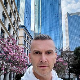 ������, 40 ���, ����