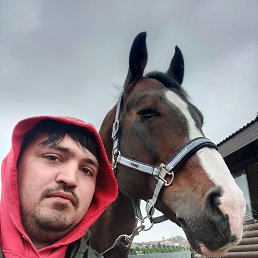 , 27, 