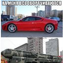 ���� Cola, �����-���������, 44 ���� - ��������� 30 ���� 2025 � ������ ������ ��������