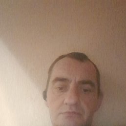 ������ ������, 41 ���, �������