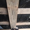 ���� ��������, �������, 50 ��� - ��������� 26 ������ 2024 � ������ ���� ����������