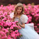 ���� ���������, �����, 33 ���� - ��������� 27 ������� 2024 � ������ ������