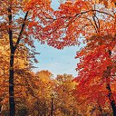 ���� ...R��@sh���..., ����� - ��������� 10 ���� 2026 � ������ ���� ����� ��������