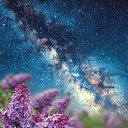 ���� ����, ������ - ��������� 2 ��� 2026 � ������ ������ ��������