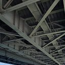 ���� ��������, �������, 53 ���� - ��������� 8 ������� 2025 � ������ ���� ����������