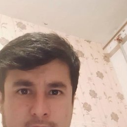 ���, 41 ���, ������