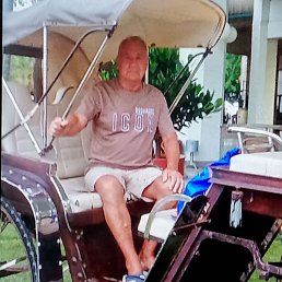 ��������, ������, 71 ���