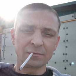 �����, �����-���������, 44 ����