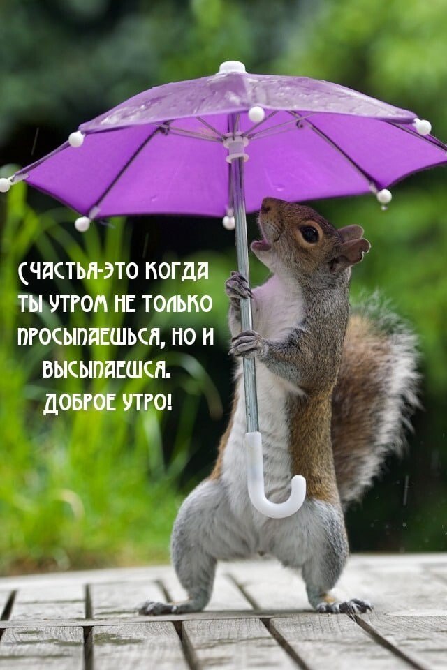 ***Victoria Viktorovna*** - 30  2024  02:54