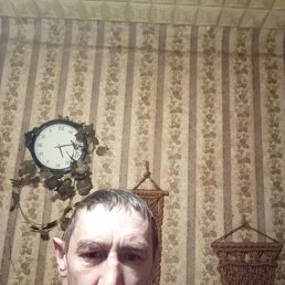 ����������, 40 ���, ����