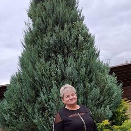 �����, �������, 59 ���