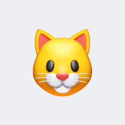 ���� �������, ������, 41 ��� - ��������� 5 ������ 2026