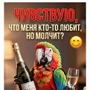 ���� �����, ������, 53 ���� - ��������� 21 ���� 2026