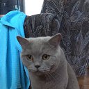 ���� ����, �����-���������, 51 ��� - ��������� 19 ������� 2025 � ������ ���� ����������