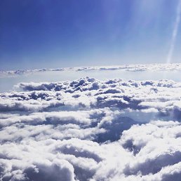 ������, ������ ��������, 29 ���