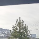 ���� �����, ������, 44 ���� - ��������� 10 ������� 2024 � ������ ���� ����������