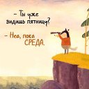 ���� ����� 288, ����� - ��������� 18 ����� 2026 � ������ ������ ��������