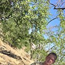 ���� �������, ������-��-����, 40 ��� - ��������� 8 ������ 2026 � ������ ���� ����������