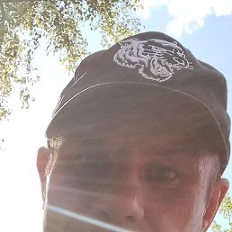 ��������� ��������, �����-���������, 39 ���