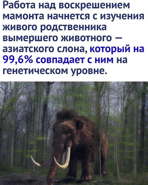      - 3