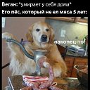 ���� ����, �����, 30 ��� - ��������� 30 ������ 2025