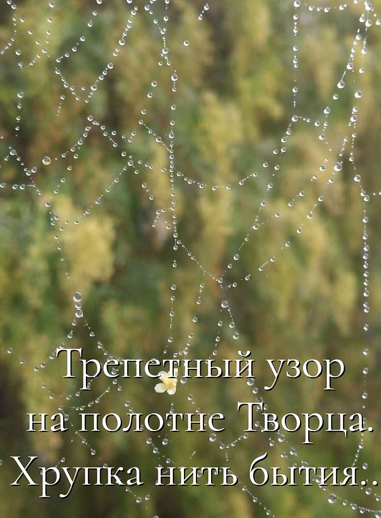 �������� ������ - 2 ���� 2026 � 16:55