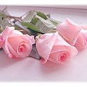 ���� ������, ������, 74 ���� - ��������� 16 ������� 2025 � ������ ������ ��������