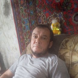, 40, 