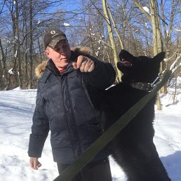 ���� Da,, ������, 43 ���� - ��������� 5 ������ 2026