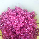 ���� �������, ��������, 52 ���� - ��������� 20 ������� 2024 � ������ ���� ����������