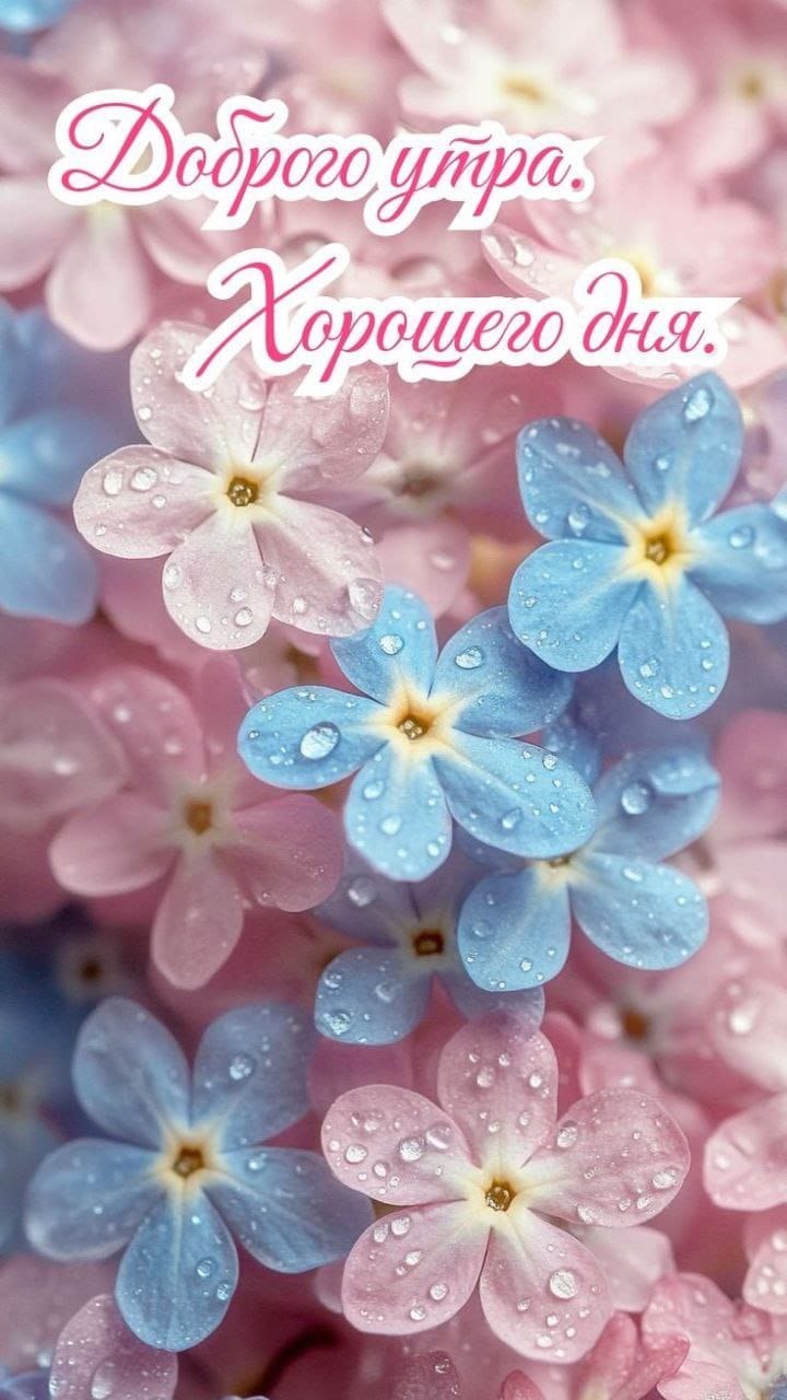 ***Victoria Viktorovna*** - 18  2025  00:47