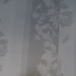 ������, 35 ���, ����