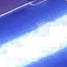 �����, �����-���������, 35 ���